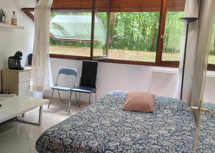 Magnifique Studio Du Chateau Vlp