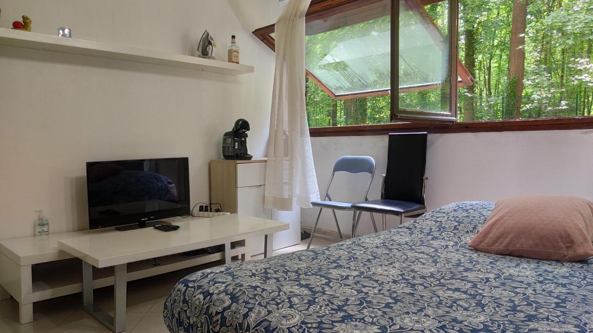 Magnifique Du Chateau Vlp Apartment Vaux-le-Pénil